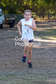 run-finish004