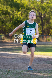 run-finish012