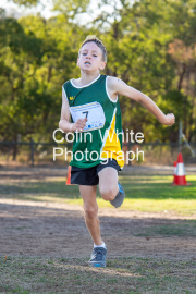 run-finish013