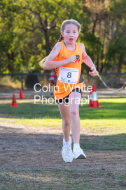 run-finish019