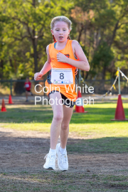 run-finish020