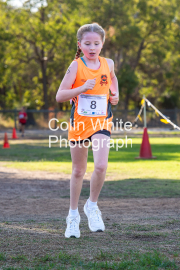 run-finish021