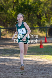 run-finish031