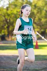 run-finish033