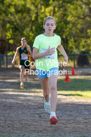 run-finish039