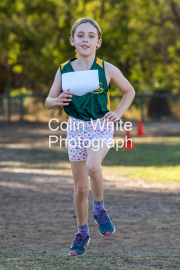 run-finish046