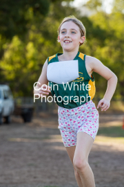 run-finish047