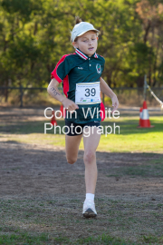 run-finish087