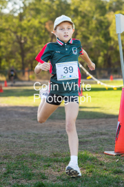 run-finish088