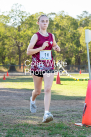 run-finish119