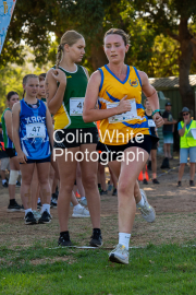 run-finish126
