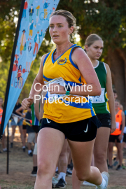 run-finish127
