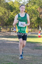 run-finish151