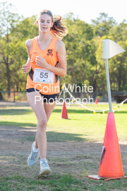 run-finish177
