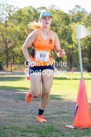 run-finish185