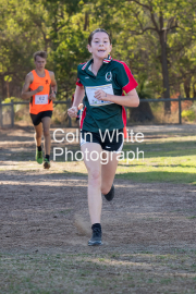 run-finish190