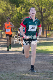 run-finish191
