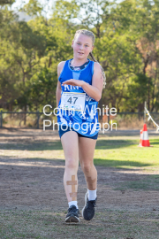 run-finish203
