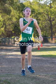 run-finish213