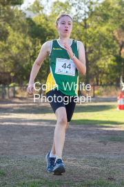 run-finish214