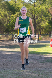 run-finish221