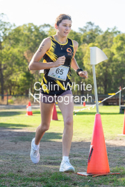 run-finish229