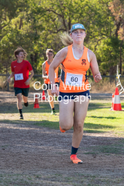 run-finish236