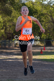 run-finish247