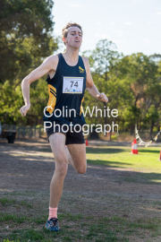 run-finish256