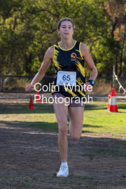 run-finish271