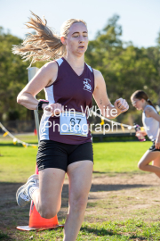 run-finish278