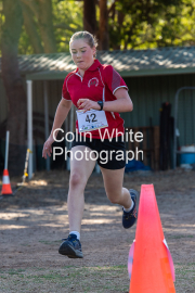 run-finish291