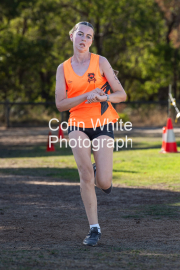 run-finish299