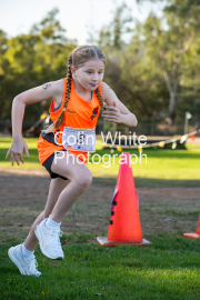 run-start027