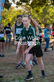 run-start042