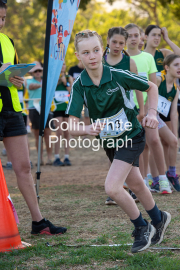 run-start043