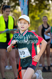 run-start096