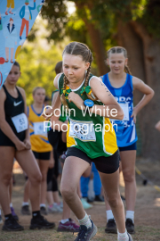 run-start099