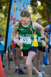 run-start100