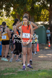 run-start114