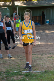 run-start118