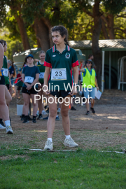 run-start137