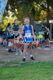 run-start176