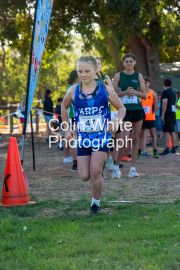 run-start177