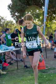 run-start182