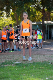 run-start194