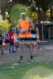 run-start212