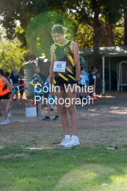 run-start228