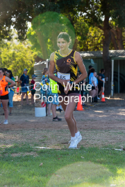 run-start229