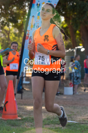 run-start242